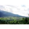 Laddar bild...