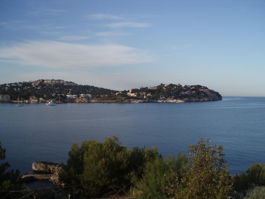 Laddar bild...